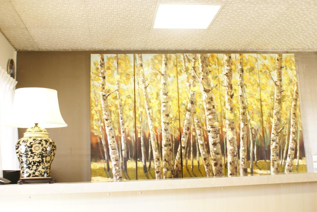 Country Lodge Motor Inn Бетхерст Екстер'єр фото